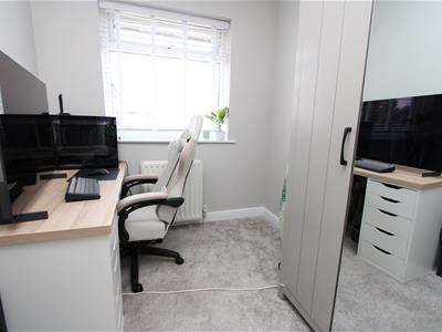 Picture 15